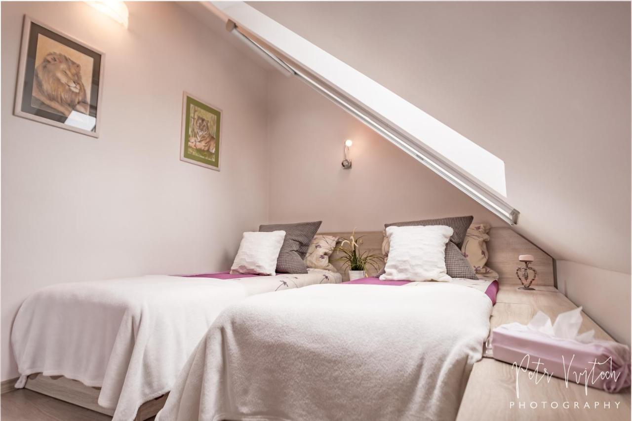 Apartman Na Lipne فريمبورك المظهر الخارجي الصورة